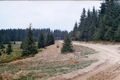 NE6864_1